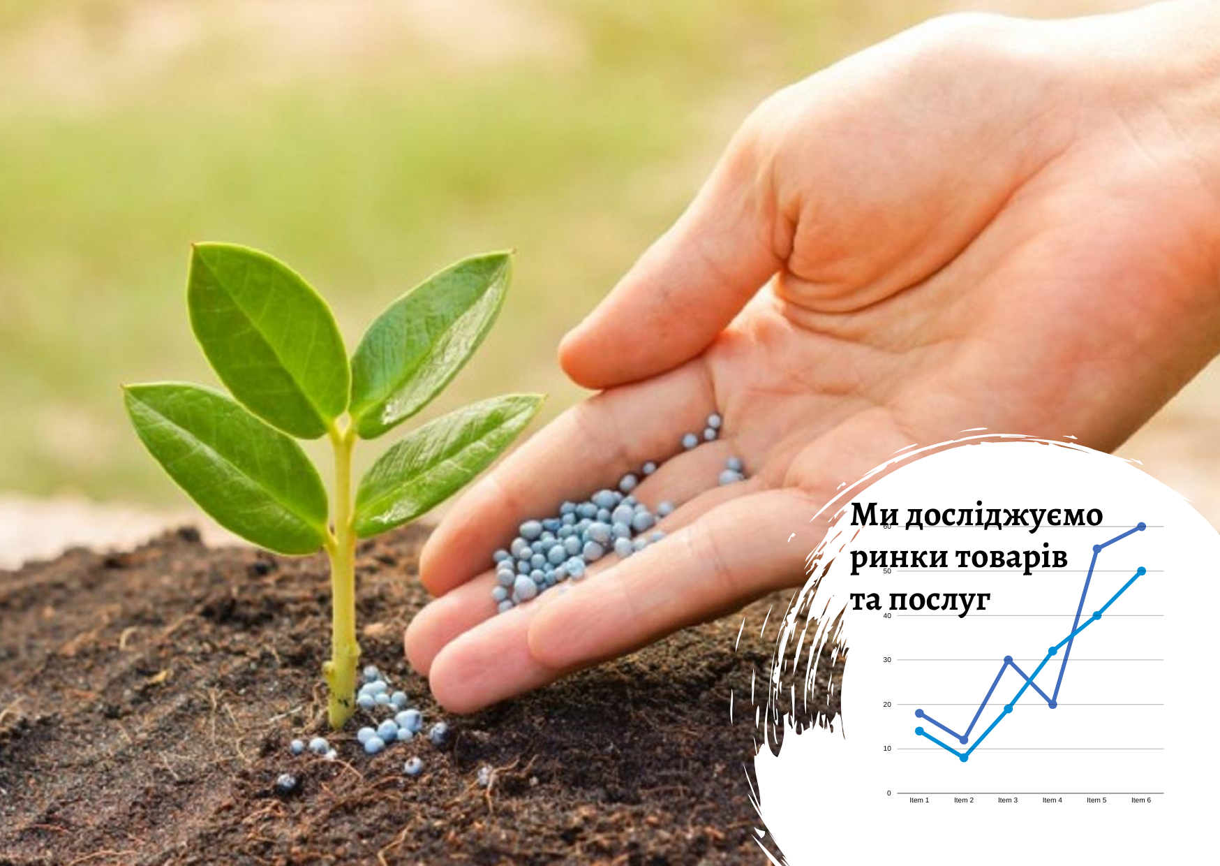 Ринок засобів захисту рослин в Україні: рекомендації щодо реалізації бізнес-проектів